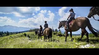 Le Vercors à cheval