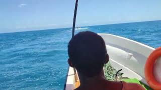 Balapan di Laut Zanzibar