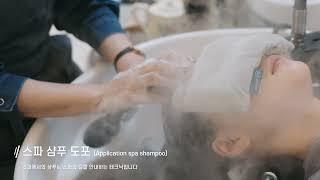 컬러드스파 HEAD SPA 🫧️