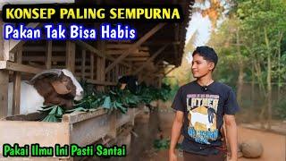 Peternak Kambing Super Cerdas Sedikit Inovasi Hasilnya memuaskan