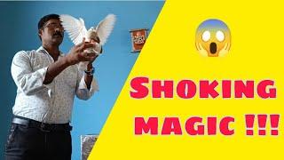 Shocking magic!!!  l Multi Art Gallery