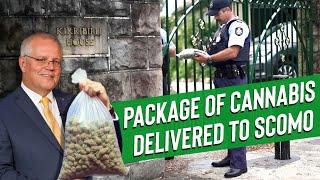 420 Peace Offering for Australian Prime Minister | Who Are We Hurting?