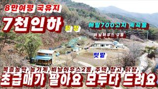 401호초급매 주택 매매 군유림 8만여평 계곡물 흐르고 복층농막도 있는 시골집 매매 농기계 비닐하우스 창고 닭장 포함