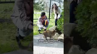 #любовь #загородныйдом #семья #семейныйканал #стройка