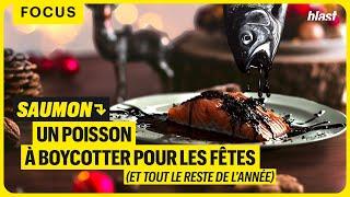 SAUMON : UN POISSON À BOYCOTTER POUR LES FÊTES (ET TOUT LE RESTE DE L'ANNÉE)