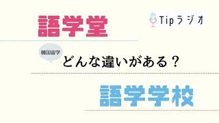 【韓国留学】語学堂と語学学校の違いは？