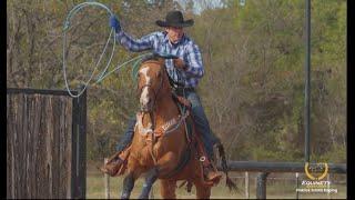 Patrick Smith's Equinety Barn Check