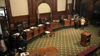 Rochester, NY City Council Committee Meeting - January 14, 2025