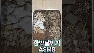 한약달이기ASMR1 #한약 #보약 #치료약 #한약달이기 #한의원