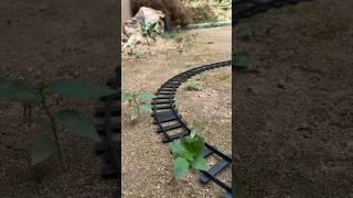 New railway#new#creative#creation#railway