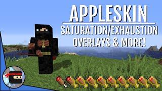 AppleSkin: Food Related Features! | Minecraft Mod Tutorial