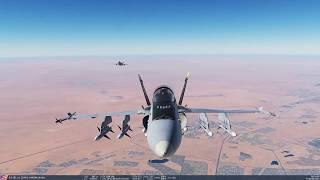 DCS 2.5 Birdhunting with Injerin