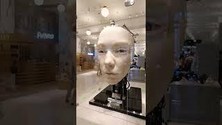 Welcome to Selfridges. The face looks real.