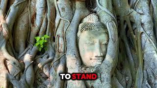 Why Is A Buddha Head in Tree Roots? Ayutthaya Thailand