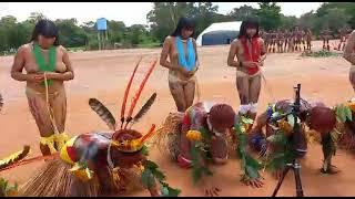 Povos waura  visitas povos mehinako, 07 /01 / 2023 dançando do passarinho kuyakua natu .