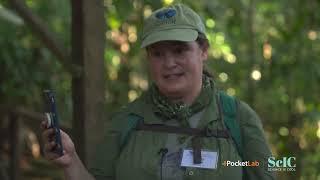 PocketLab in the Amazon rainforest with the Morpho Institute