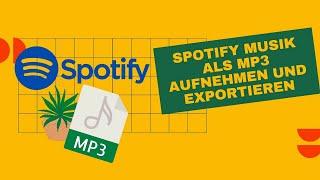 Spotify-Musik als MP3 exportieren