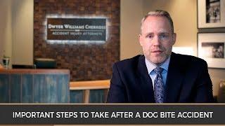 Important Steps to Take after a Dog Bite Accident