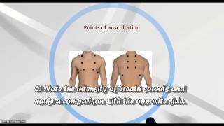 Respiratory auscultation sounds