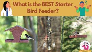 What is the Best Starter Bird Feeder