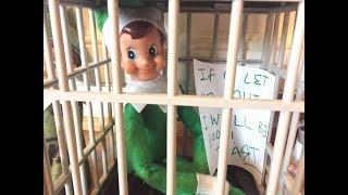 ELF GOES TO JAIL!