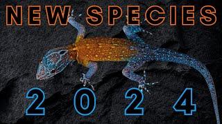 Newly Discovered in 2024 - 25 New Species