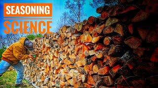 Should You Cover Your Firewood?