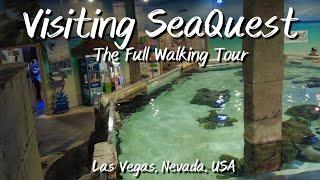 Visiting SeaQuest The FULL Walking Tour in Las Vegas Nevada USA