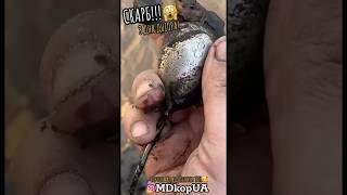 СКАРБ З ДНА РІЧКИ! Частина 1 #клад #коп #скарби #сьогодні #новини #пошук #digger #gold #coin