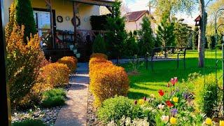 Ещё не лето, но уже красиво и ярко. Сад в конце апреля #дом #garden #огород #жизньзагородом