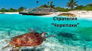 Форекс стратегия Черепахи