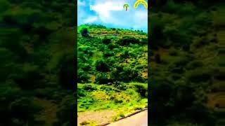 Dawga buurta sheekh.  shiekh mountain .