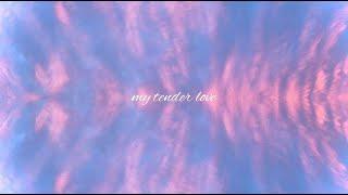 My tender love - Tess (lyrics video)