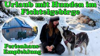 Holiday with several dogs Holiday home Kleiner Waldstein final