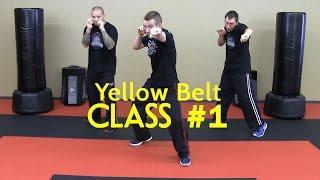 Beginner Krav Maga - Yellow Belt/Level 1 - Class #1 (Warm Up, Follow Along Drills)