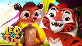 LEO and TIG   NEW  The Royal Aroma  Cartoon For Children  Moolt Kids Toons Happy Bear