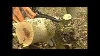 Pellenc Selion- Battery Powered Chain Saw