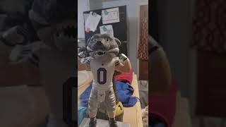 the ksu