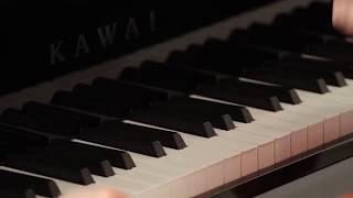 KAWAI NOVUS NV10 - Piano Digital Híbrido DEMO