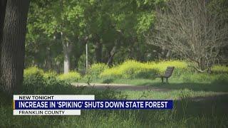 Increase in 'tree spiking' shuts down state forest