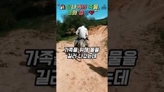 "당나귀와 소년의 슬픈 이야기", "당나귀의 죽음, 소년의 절망"