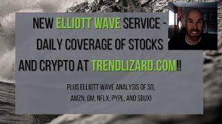 New Daily Elliott Wave Service of Stocks and Crypto at TrendLizard.com! Watch to learn more!