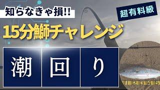 15分鰤チャレンジ！時合が分かれば短時間でもチャンスはある。