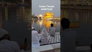 Magical GOLDEN TEMPLE Amritsar Punjab #goldentemple #sikh #sikhism