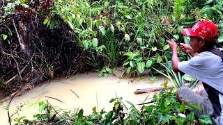 MANCING TAHUN TAHUNAN.!!! BARU KALI INI KETEMU SUNGAI YANG BANYAK IKAN LELE NYA