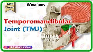 Anatomy of Temporomandibular joint ( TMJ ) Animation: Gross Anatomy medical animations