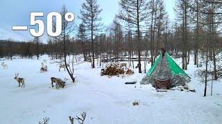 Life of Mongolia Nomads near the borders of Russia. Tsaatan life in Mongolia  in winter
