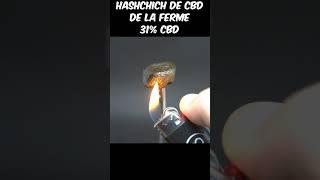 HASCHICH de CBD de la Ferme - 31% CBD #short #zoombud