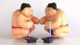 GadgetKing R/C Wrestling Sumos - HD