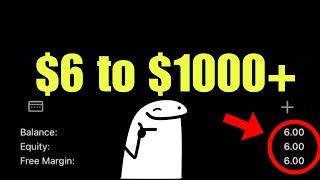 i raised a $6 account to more than a $1000 with this scalping strategy which has a highest win rate